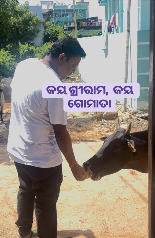 Food Distribution
